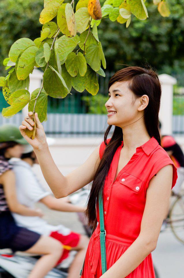 谈判专家粤语在线观看